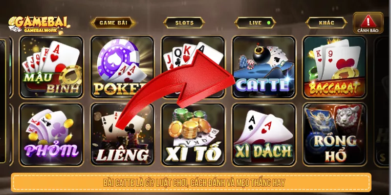 Bài Catte Là Gì? Luật Chơi, Cách Đánh Và Mẹo Thắng Hay