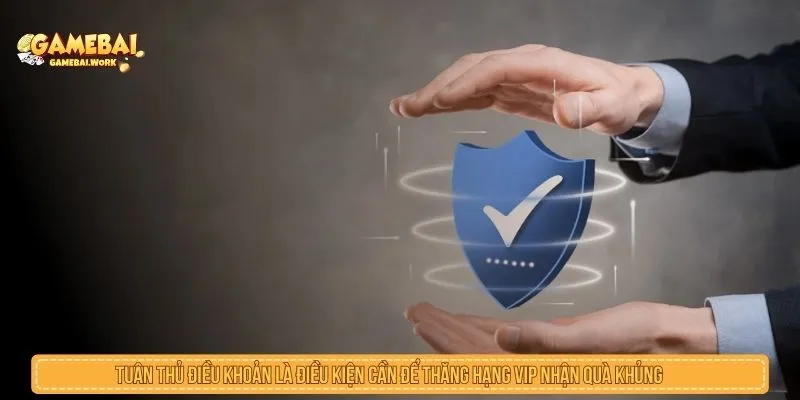 Tuân thủ điều khoản là điều kiện cần để thăng hạng VIP nhận quà khủng